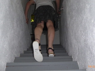 53801417916_f161f7ed49_c